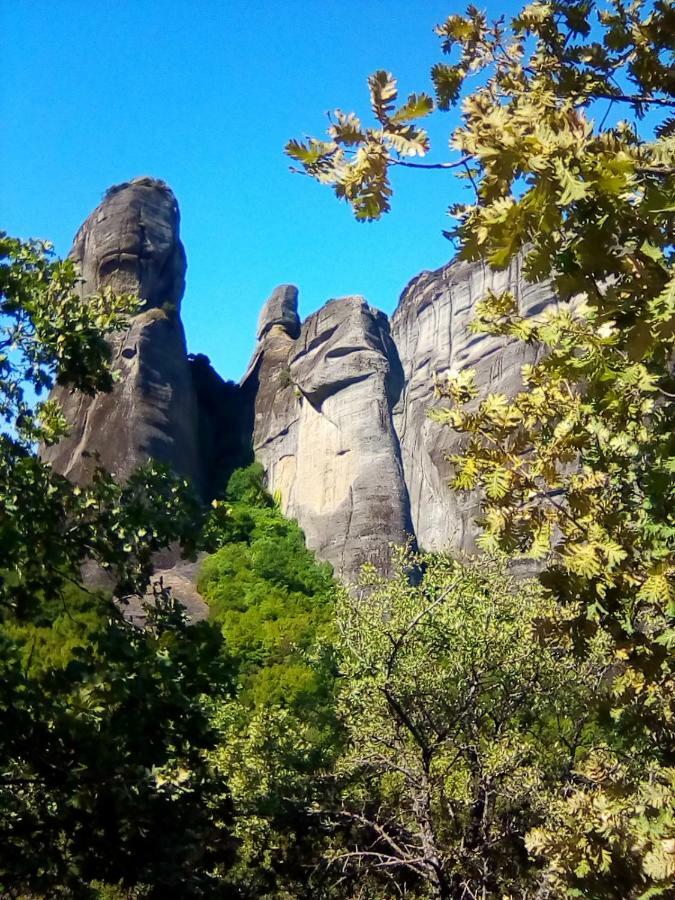 Nature Apartamento
